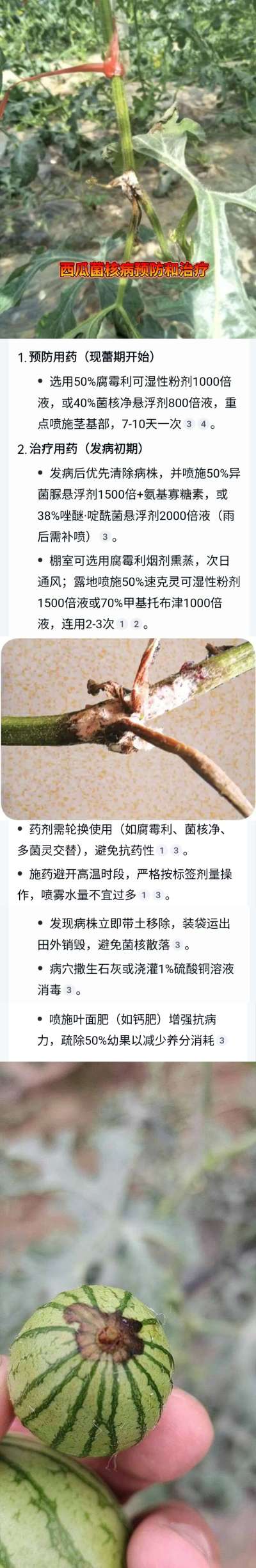 http://st-static1.weixincap.com/forums/2025/04/23/17453936646134.jpeg