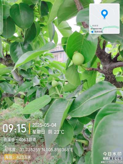 http://st-static1.weixincap.com/forums/2025/05/04/17463386288061.jpeg
