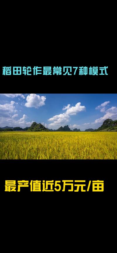 &ldquo;一田多收，藏着农业增收的密码！今天带您1分钟看懂水稻轮作的致富密码