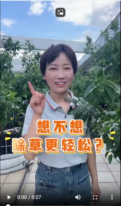 打了除草剂，死草慢，草死了两天又活了，怎么办？我教你一招