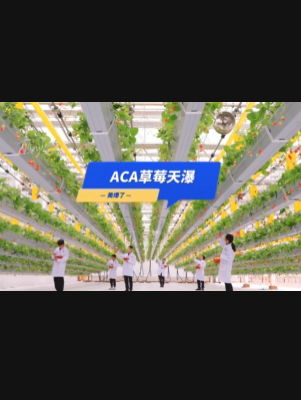 自由升降、追光生长。#ACA草莓天瀑，美爆了！向天再借500平！#ACA可控农业 #华维集团 #数字农业