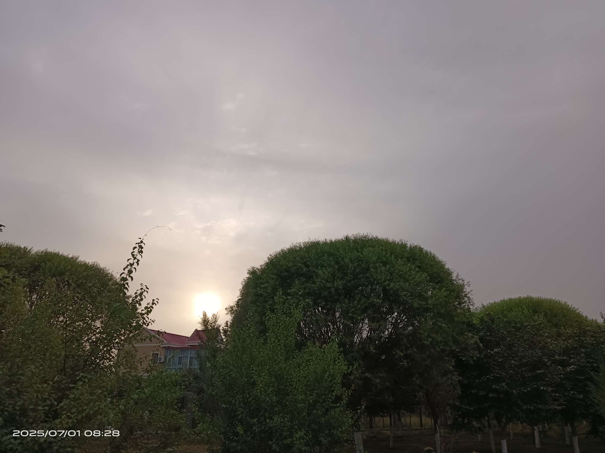 http://st-static1.weixincap.com/forums/2025/07/09/17520418161956.jpeg