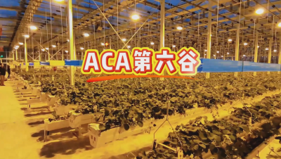 #ACA第六谷 模式，打造#ACA作物工厂，规划建园到栽培种植水肥管理一站式服务！#可控农业 #华维集团