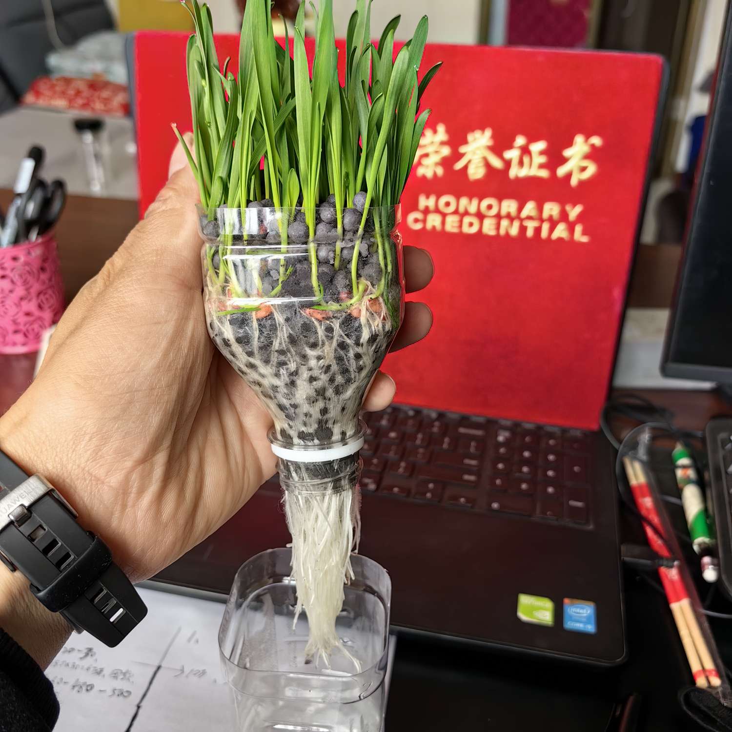 http://st-static1.weixincap.com/forums/2025/07/14/17524565573810.jpeg