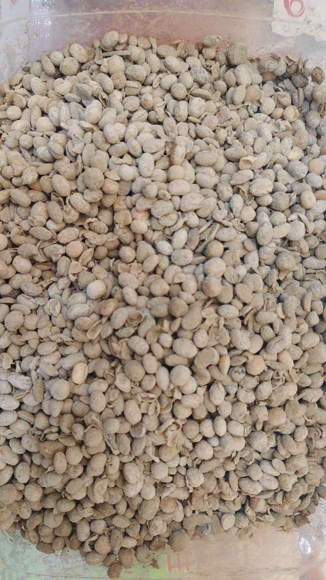 http://st-static1.weixincap.com/forums/2025/07/14/17524565596567.jpeg