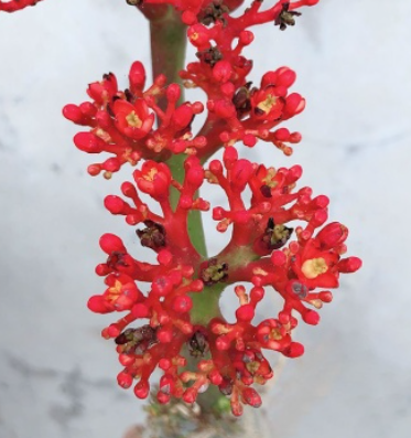 http://st-static1.weixincap.com/forums/2025/07/28/17536693005347.png