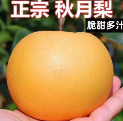 http://st-static1.weixincap.com/forums/2025/07/29/17537865122719.png