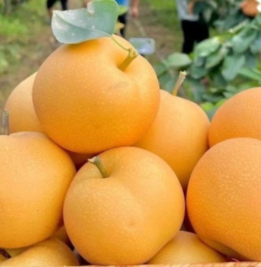 http://st-static1.weixincap.com/forums/2025/07/29/17537865127970.png