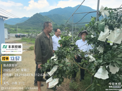 http://st-static1.weixincap.com/forums/2025/07/31/17539588605789.png