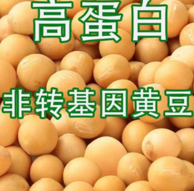 http://st-static1.weixincap.com/forums/2025/08/06/17544750598565.png