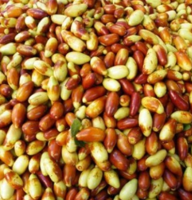 http://st-static1.weixincap.com/forums/2025/08/13/17550808708744.png