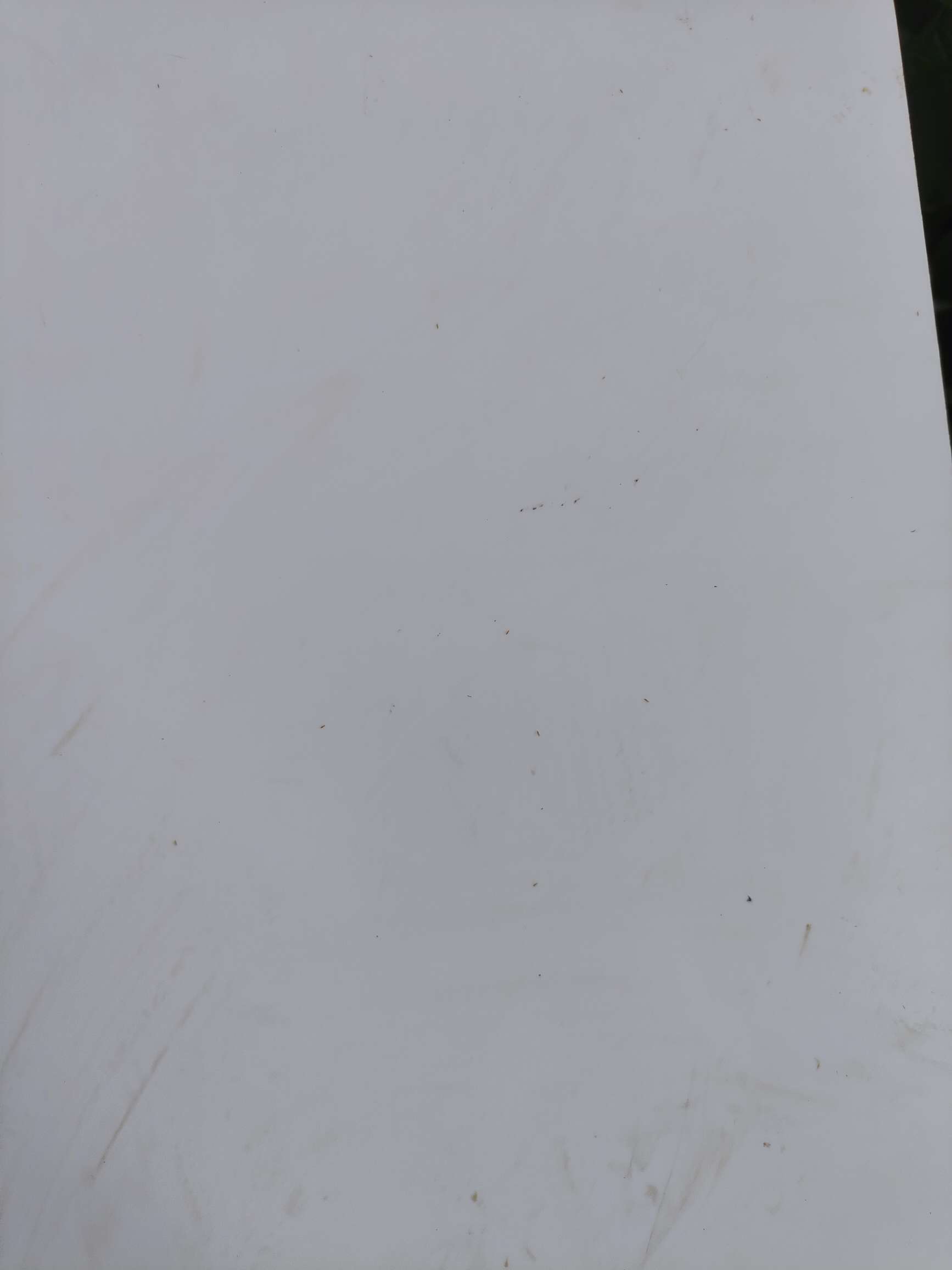 http://st-static1.weixincap.com/forums/2025/08/18/17555288245629.jpeg
