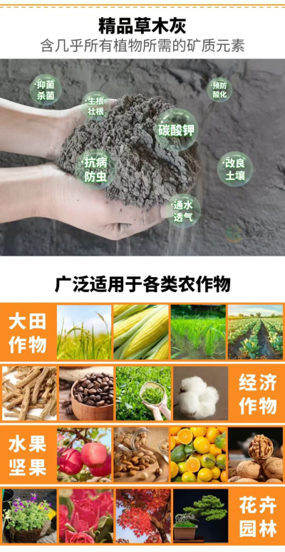 http://st-static1.weixincap.com/forums/2025/09/06/17571689923312.png