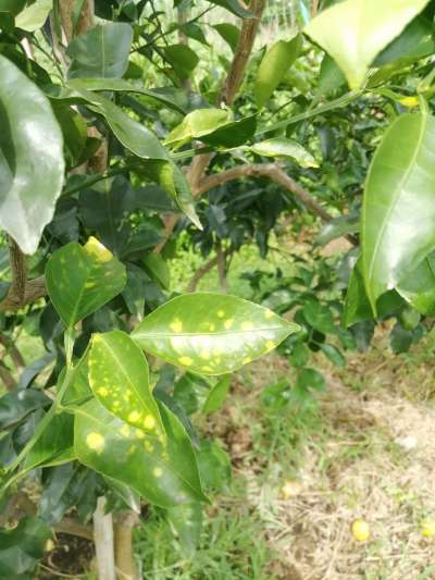 http://st-static1.weixincap.com/forums/2025/09/12/17576296742971.jpeg