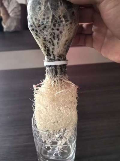 年销售量三十万吨的有机肥生产厂家，全国网点发货，资质齐全，正品保障！有机肥、生物菌肥、微生物肥料等