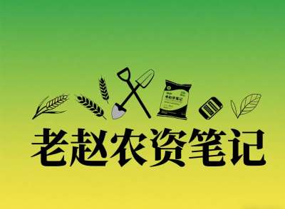 乡镇农资店对接厂家：不是否定代理，是找对&ldquo;有前景的小厂&rdquo;补增量