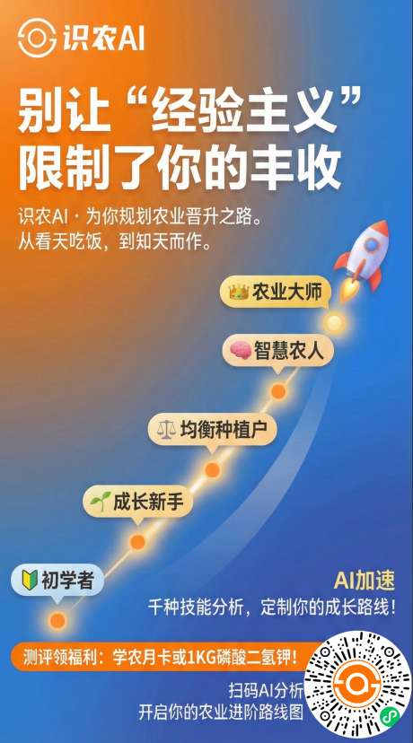 http://st-static1.weixincap.com/forums/2025/11/27/17642315792371.png