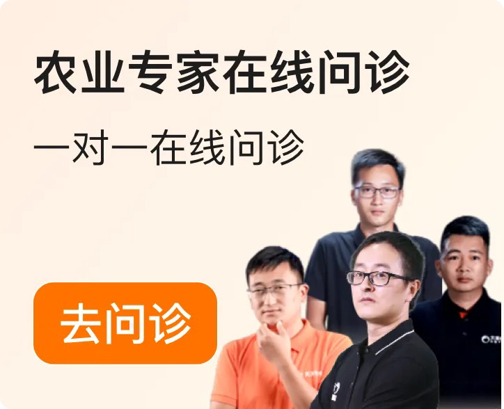 http://st-static1.weixincap.com/forums/2025/12/04/17648348949299.png