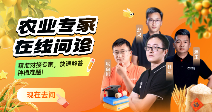 http://st-static1.weixincap.com/forums/2025/12/04/17648350671478.png