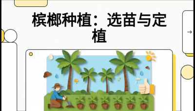第01节：选苗与定植&mdash;&mdash;&ldquo;苗好一半收，底肥定千秋&rdquo;课程：《槟榔种植：从不懂到精通的10堂必修课》