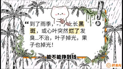 第05节：常见真菌病害&mdash;&mdash;&ldquo;炭疽与烂心，早防值千金&rdquo;《槟榔种植：从不懂到精通的10堂必修课》