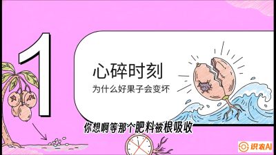 第08节：微量元素与保果&mdash;&mdash;&ldquo;补硼又补钙，果子不裂坏&rdquo;《槟榔种植：从不懂到精通的10堂必修课》