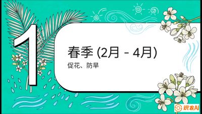 第10节：周年农事日历&mdash;&mdash;&ldquo;跟着节气走，丰产在手头&rdquo;《槟榔种植：从不懂到精通的10堂必修课》