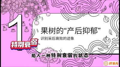第2节：【冬肥策略】采后&ldquo;月子肥&rdquo;：大小年的精准干预术，课程：《柑橘底肥&ldquo;翻身账&rdquo;：从改土到高产的实战全书》