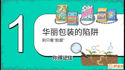 第4节：【黄金配方】底肥里的&ldquo;铁三角&rdquo;与&ldquo;微量雷区&rdquo;课程：《柑橘底肥&ldquo;翻身账&rdquo;：从改土到高产的实战全书》