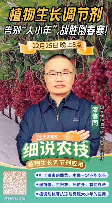http://st-static1.weixincap.com/forums/2025/12/23/17664639985811.png