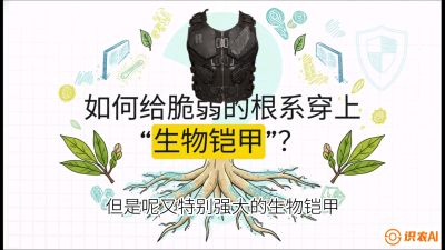 第三节：国产榴莲突围战：根系堡垒，菌根微生态构建与黄金定植窗口，课程：《国产榴莲突围战：从泰国经验到中国实操的8堂必修课（高阶实战版）》