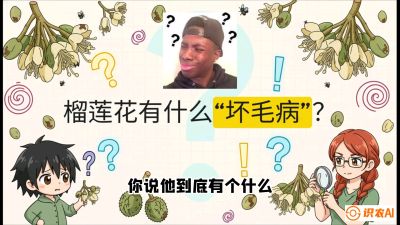 第六节：榴莲的午夜战事，夜间授粉战与花果期避雨策略，课程：《国产榴莲突围战：从泰国经验到中国实操的8堂必修课（高阶实战版）》