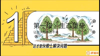 第七节：榴莲防御战：病虫害三级立体防控，疫霉菌与虫害的立体封锁线，课程：《国产榴莲突围战：从泰国经验到中国实操的8堂必修课（高阶实战版）》