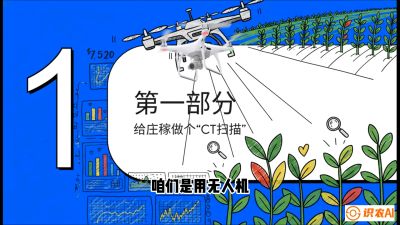 第5节：无人机也能&ldquo;看病抓药&rdquo;&mdash;&mdash;处方图与变量施肥入门，课程：《无人机植保搞钱必修课：从&ldquo;瞎飞&rdquo;到&ldquo;懂行&rdquo;的6步进阶》