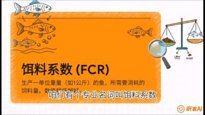 第五节：【高端单品&middot;鳜鱼】&ldquo;饲料鳜&rdquo;技术：打破吃活饵的高成本魔咒，课程：《黄金鳞甲：2025中国淡水鱼高效养殖实战营》