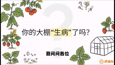 第2节（解毒篇）： 大棚里的&ldquo;红白绿&rdquo;警报&mdash;&mdash;读懂土壤盐渍化的求救信号，课程：《揭秘土壤的秘密：让土地帮你赚钱》#识农AI