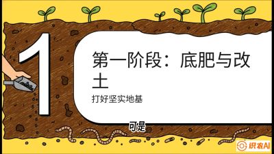 第6节（统筹篇）： 省钱又增产的&ldquo;黄金配比&rdquo;&mdash;&mdash;不同作物全年的养土实操方案，课程：《揭秘土壤的秘密：让土地帮你赚钱》#识农AI
