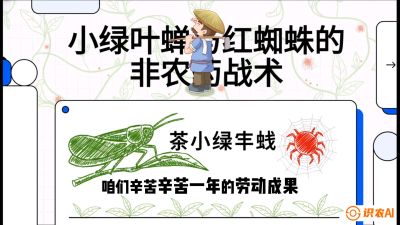 第03节（虫害篇）：看不见的吸血鬼：小绿叶蝉与红蜘蛛的&ldquo;非农药&rdquo;团灭战术（抗性治理），课程：《茶金时代：从&ldquo;看天吃饭&rdquo;到&ldquo;精准控局&rdquo;的茶叶高产提质实战课》