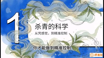 第05节（加工篇）：决胜2分钟：用&ldquo;数字温控&rdquo;破解杀青不匀，复刻大师级手工口感，课程：《茶金时代：从&ldquo;看天吃饭&rdquo;到&ldquo;精准控局&rdquo;的茶叶高产提质实战课》