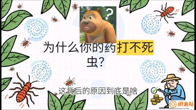 第4节：【虫害歼灭战】打不死的蓟马、隐形的茶黄螨：抗性时代的&ldquo;混配绝杀&rdquo;，课程：《辣椒种植实战特训营，从工业辣椒到精品小米辣，教你如何把&ldquo;草&rdquo;种成&ldquo;金&rdquo;》