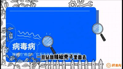 第5节：【病毒病阻击】辣椒的&ldquo;癌症&rdquo;怎么治？从&ldquo;绝收恐慌&rdquo;到&ldquo;带毒生产&rdquo;的逆转术，课程：《辣椒种植实战特训营，从工业辣椒到精品小米辣，教你如何把&ldquo;草&rdquo;种成&ldquo;金&rdquo;》