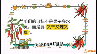 第7节：【工业辣椒专场】追求极致辣度！干物质提升与机械化采收的&ldquo;催红秘籍&rdquo;，课程：《辣椒种植实战特训营，从工业辣椒到精品小米辣，教你如何把&ldquo;草&rdquo;种成&ldquo;金&rdquo;》