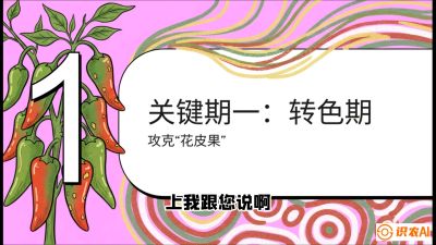 第8节：【小米辣线椒专场】颜值即正义！防花皮、防炭疽，打造收购商抢着要的&ldquo;精品果&rdquo;，课程：《辣椒种植实战特训营，从工业辣椒到精品小米辣，教你如何把&ldquo;草&rdquo;种成&ldquo;金&rdquo;》