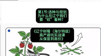 第一节： 选种与规划&mdash;&mdash;为什么在辽宁我们要&ldquo;砍&rdquo;着种？，课程：《辽宁树莓（海尔特兹）高产避坑实战课：从保苗到高价》