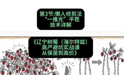 第三节： 懒人修剪法&mdash;&mdash;&ldquo;一推光&rdquo;平茬技术详解，课程：《辽宁树莓（海尔特兹）高产避坑实战课：从保苗到高价》
