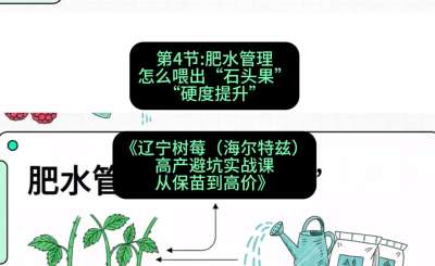 第四节： 肥水管理&mdash;&mdash;怎么喂出&ldquo;石头果&rdquo;（硬度提升），课程：《辽宁树莓（海尔特兹）高产避坑实战课：从保苗到高价》