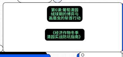 第6节：【葡萄清园】绒球期的博弈与画眉虫的&ldquo;斩首行动&rdquo;，课程：《经济作物冬季清园&middot;实战防坑指南》#识农AI