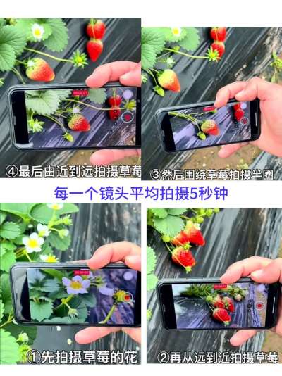 http://st-static1.weixincap.com/forums/2026/01/24/17692156443983.jpeg