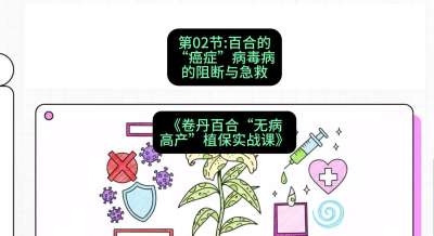 第02节：百合的&ldquo;癌症&rdquo;&mdash;&mdash;病毒病的阻断与急救，课程：《卷丹百合&ldquo;无病高产&rdquo;植保实战课》#识农AI