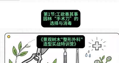 第01节：工欲善其事&mdash;&mdash;园林&ldquo;手术刀&rdquo;的选择与消毒，课程：《景观树木&ldquo;整形外科&rdquo;造型实战特训营》#识农AI